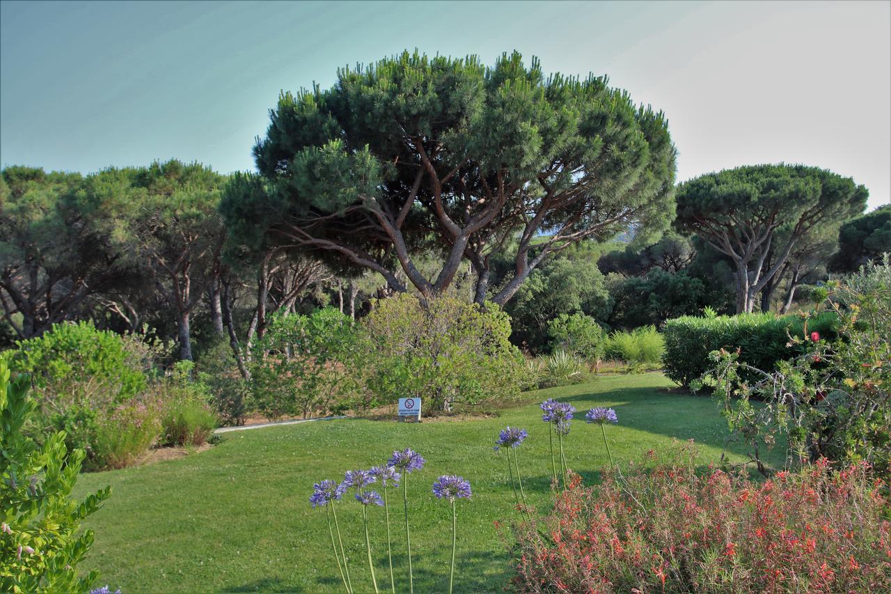 Appartement Les Pins Bleus A8 سانت ماكسيم المظهر الخارجي الصورة